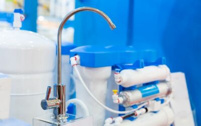 Elegir el Sistema Adecuado